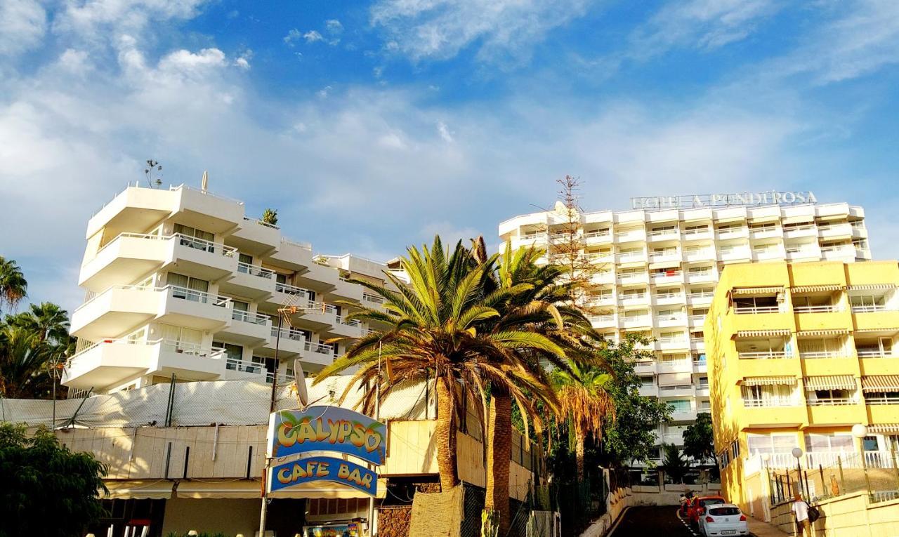 Apartament Under The Palm Playa de las Americas  Zewnętrze zdjęcie
