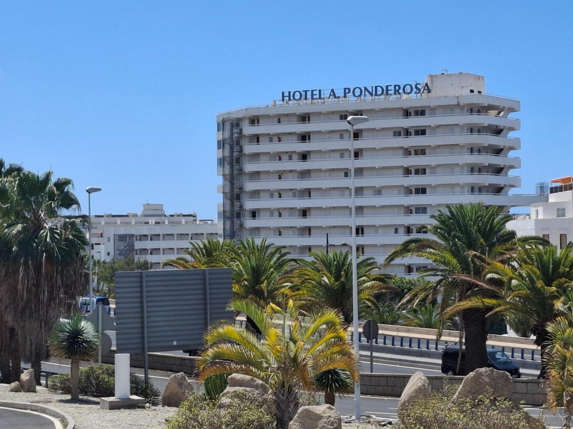 Apartament Under The Palm Playa de las Americas  Zewnętrze zdjęcie
